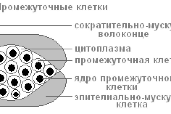 Kraken com darknet